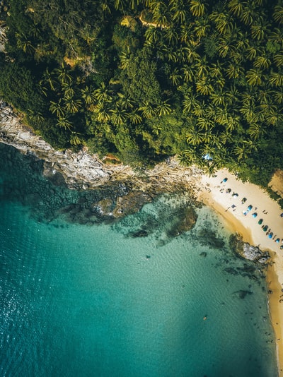 白天碧海旁绿树鸟瞰图